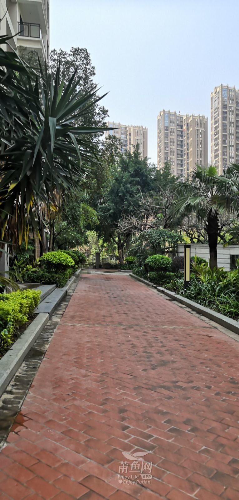 10780元用买楼梯的价格买电梯房 二中旁荣华